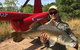HeliFish Tours From Darwin - thumb 5
