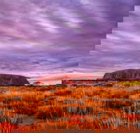 4-Day Camping Trip from Ayers Rock Including Uluru Kata Tjuta and Kings Canyon - Accommodation QLD