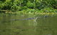 Kakadu, Nourlangie And Yellow Waters Tour From Darwin - thumb 4