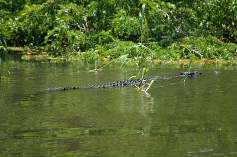 Kakadu, Nourlangie And Yellow Waters Tour From Darwin - Accommodation QLD 4