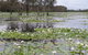 Kakadu, Nourlangie And Yellow Waters Tour From Darwin - thumb 12