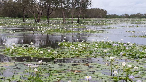 Kakadu, Nourlangie And Yellow Waters Tour From Darwin - Accommodation QLD 12