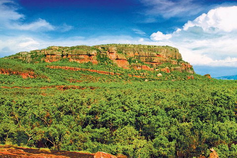 Kakadu, Nourlangie And Yellow Waters Tour From Darwin - Accommodation QLD 36