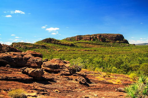 Kakadu, Nourlangie And Yellow Waters Tour From Darwin - Accommodation QLD 34