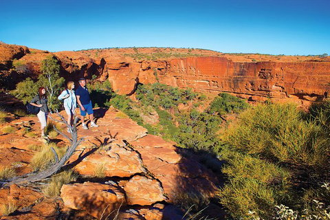 Coach Transfer From Ayers Rock To Kings Canyon - Accommodation QLD 6