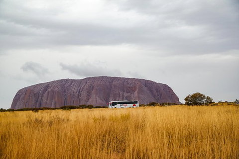 Coach Transfer From Ayers Rock To Kings Canyon - Accommodation QLD 4