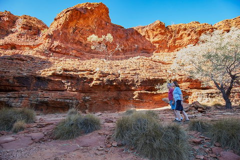 Coach Transfer From Ayers Rock To Kings Canyon - Accommodation QLD 7