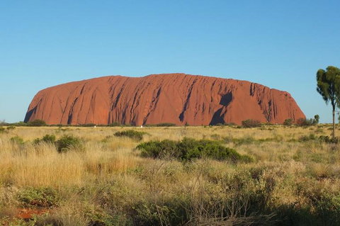 Overnight Uluru (Ayers Rock) Small-Group Camping Tour - Accommodation QLD 8