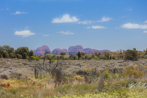 Overnight Uluru (Ayers Rock) Small-Group Camping Tour - Accommodation QLD 15