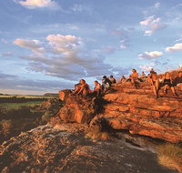 5 Day 4WD Jabiru Dreaming Top End Safari - Accommodation QLD