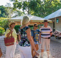 Walk the Darwin Botanic Gardens - Accommodation QLD