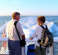 Darwin Harbour Sightseeing Cruise - Accommodation QLD