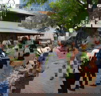 Alice Springs Walking Tours - Accommodation QLD