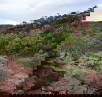 Palm Valley and Hermannsburg 1 Day 4WD Tour - Accommodation QLD