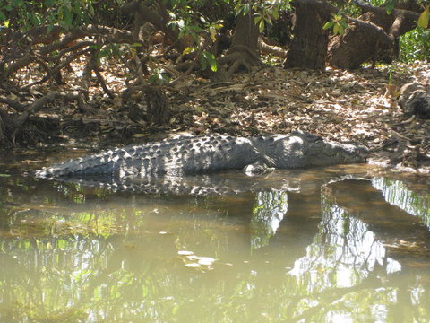 2-Day Kakadu And Arnhem Land Tour From Darwin - Accommodation QLD 2