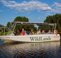 830am Safari Cruise 1.5 Hours - Accommodation QLD