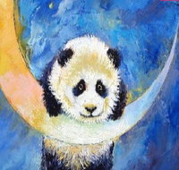 Panda Moon - Six Tanks 7.00-9.00pm - Accommodation QLD