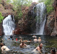 LITCHFIELD GRANDEUR AND WWII DISCOVERY - Accommodation QLD