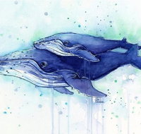 A Day At Sea - Six Tanks 3.00-5.00pm - Accommodation QLD