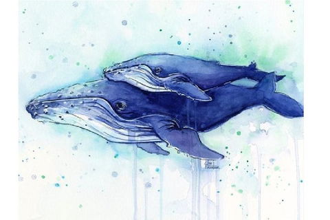 A Day At Sea - Six Tanks 3.00-5.00pm - Accommodation QLD 0