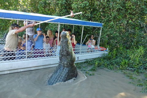 Jumping Croc Cruise - Accommodation QLD 1