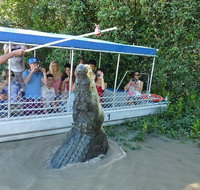 Jumping Croc Cruise - Accommodation QLD