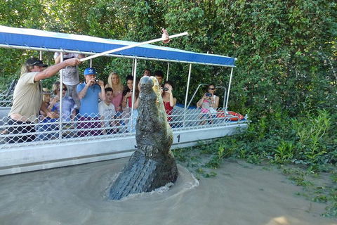 Jumping Croc Cruise - Accommodation QLD 0