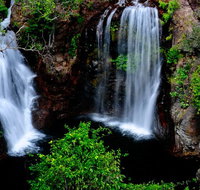 Litchfield Dreams 1 Day National Park Waterfall Swimming  Jumping Croc Cruise - Accommodation QLD