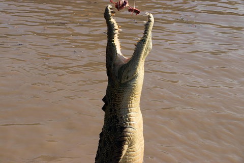 Litchfield Dreams 1 Day National Park Waterfall Swimming & Jumping Croc Cruise - Accommodation QLD 1