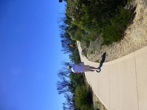 All Inclusive Blue Mountains Small-Group Day Trip From Sydney - Accommodation QLD 7