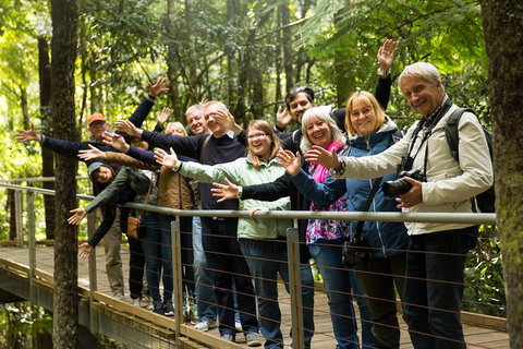 All Inclusive Blue Mountains Small-Group Day Trip From Sydney - Accommodation QLD 30