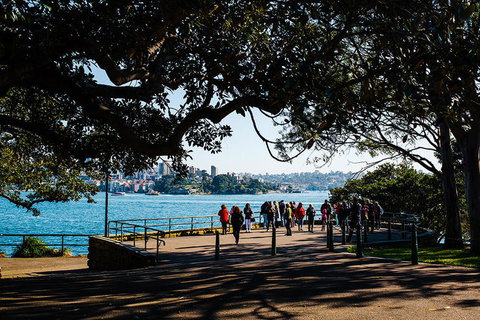 2-Day Combo: Sydney City Tour, Sydney Harbour Lunch Cruise And Blue Mountains Day Trip - Accommodation QLD 2