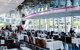 2-Day Combo: Sydney City Tour, Sydney Harbour Lunch Cruise And Blue Mountains Day Trip - thumb 9