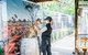 2-Day Combo: Sydney City Tour, Sydney Harbour Lunch Cruise And Blue Mountains Day Trip - thumb 18