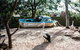 2-Day Combo: Sydney City Tour, Sydney Harbour Lunch Cruise And Blue Mountains Day Trip - thumb 19