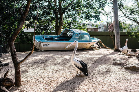 2-Day Combo: Sydney City Tour, Sydney Harbour Lunch Cruise And Blue Mountains Day Trip - Accommodation QLD 19