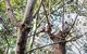 2-Day Combo: Sydney City Tour, Sydney Harbour Lunch Cruise And Blue Mountains Day Trip - thumb 22