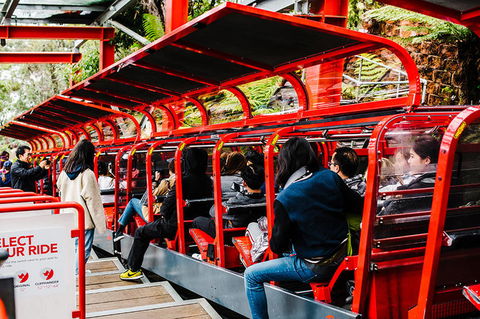 All-Inclusive Blue Mountains Day Trip With River Cruise - Accommodation QLD 7