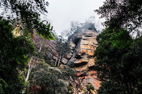 All-Inclusive Blue Mountains Day Trip With River Cruise - Accommodation QLD 3