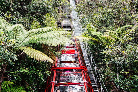 All-Inclusive Blue Mountains Day Trip With River Cruise - Accommodation QLD 6