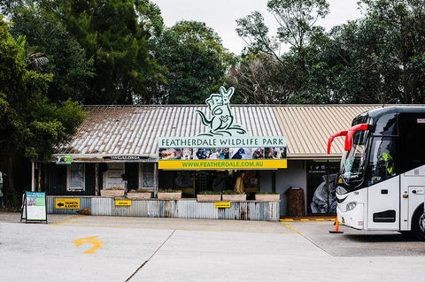 All-Inclusive Blue Mountains Day Trip With River Cruise - Accommodation QLD 19