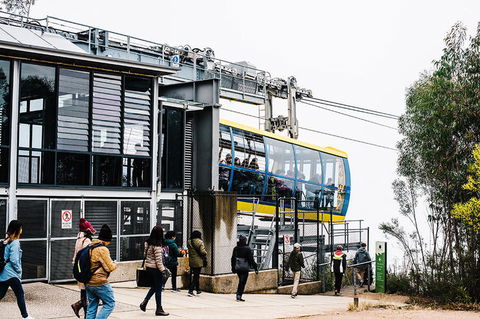 All-Inclusive Blue Mountains Day Trip With River Cruise - Accommodation QLD 9