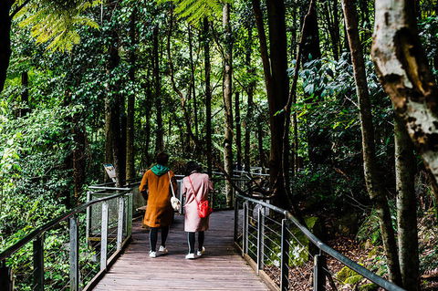 All-Inclusive Blue Mountains Day Trip With River Cruise - Accommodation QLD 10