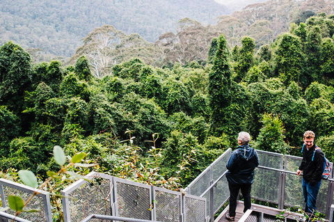 All-Inclusive Blue Mountains Day Trip With River Cruise - Accommodation QLD 2