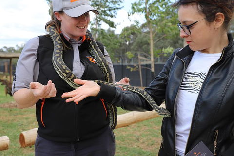 All-Inclusive Blue Mountains Day Trip With River Cruise - Accommodation QLD 37