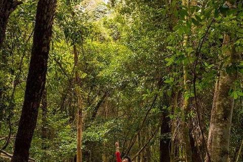 All-Inclusive Blue Mountains Day Trip With River Cruise - Accommodation QLD 26