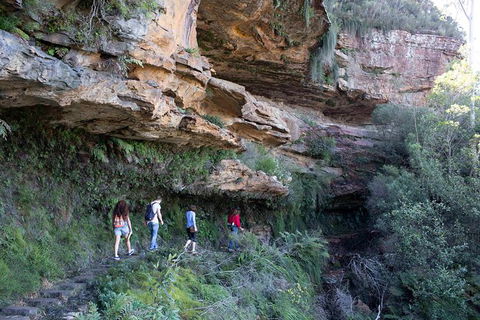All-Inclusive Blue Mountains Day Trip With River Cruise - Accommodation QLD 38