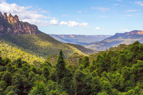All-Inclusive Blue Mountains Day Trip With River Cruise - Accommodation QLD 28