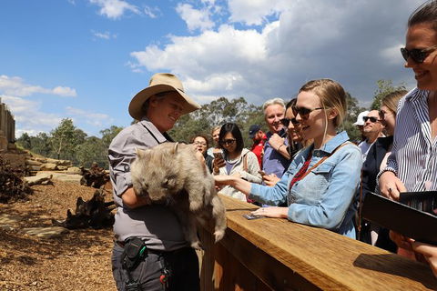 All-Inclusive Blue Mountains Day Trip With River Cruise - Accommodation QLD 27