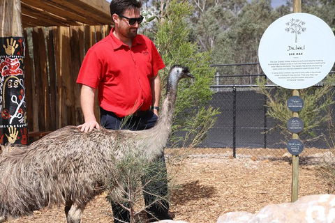 All-Inclusive Blue Mountains Day Trip With River Cruise - Accommodation QLD 24